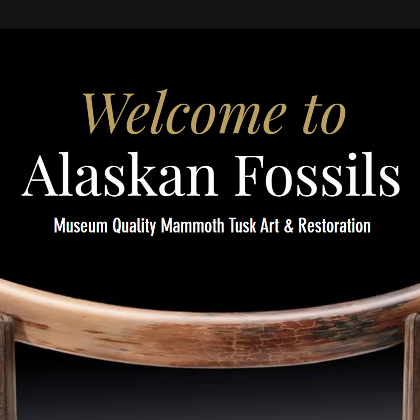 Alaskan Fossils